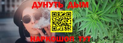 индика Дубна
