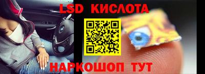 индика Дубна