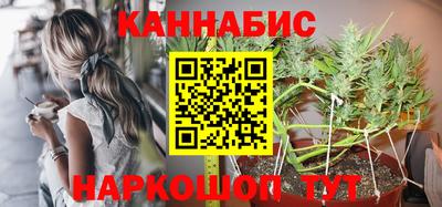индика Дубна