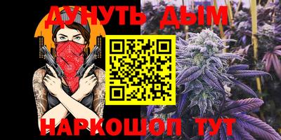 индика Дубна