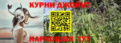 индика Дубна