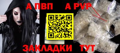 индика Дубна