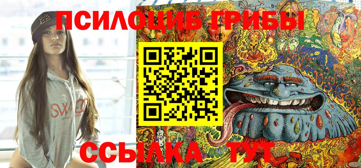 Псилоцибиновые грибы Psilocybe Чусовой
